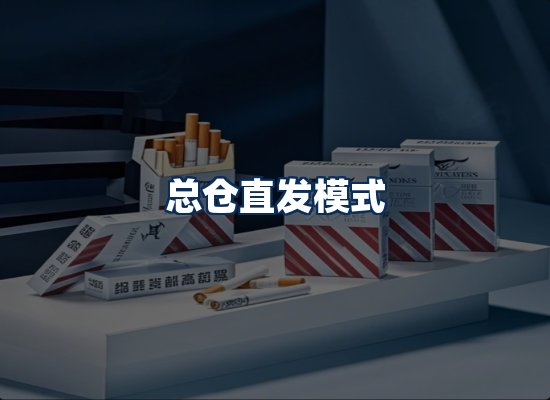 专业团队办公环境